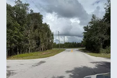 0 NE 114th Avenue Road, Fort Mc Coy, FL 32134 - Photo 12