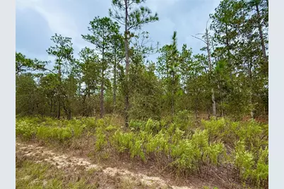 0 NW Alvarez Road, Dunnellon, FL 34431 - Photo 18