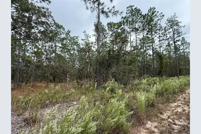 0 NW Alvarez Road, Dunnellon, FL 34431 - Photo 16