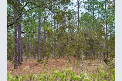 0 NW Alvarez Road, Dunnellon, FL 34431 - Photo 20