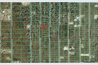 0 NW Alvarez Road, Dunnellon, FL 34431 - Photo 4