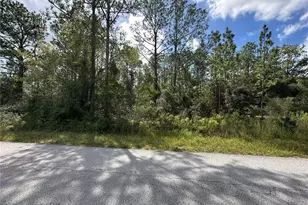 Tbd SW Audubon Ave, Dunnellon, FL 34431 - Photo 1