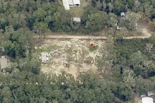 Tbd NE 190th Ln, Fort Mc Coy, FL 32134 - Photo 1