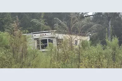 Tbd NE 190th Ln, Fort Mc Coy, FL 32134 - Photo 4