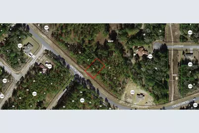 1605 W G Martinelli Boulevard, Citrus Springs, FL 34434 - Photo 1