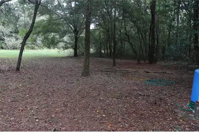 19591 SE 77th Place, Morriston, FL 32668 - Photo 2