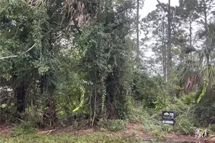 39 Whittington Dr, Palm Coast, FL 32164 - Photo 1