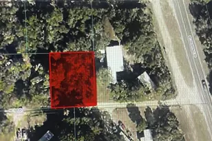Tbd NE 188th Pl, Fort Mc Coy, FL 32134 - Photo 1