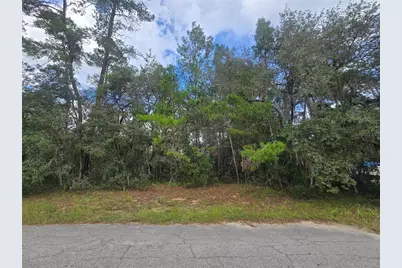 3006 Clearwood Street, Inverness, FL 34452 - Photo 4