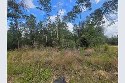 3008 Clearwood Street, Inverness, FL 34452 - Photo 12