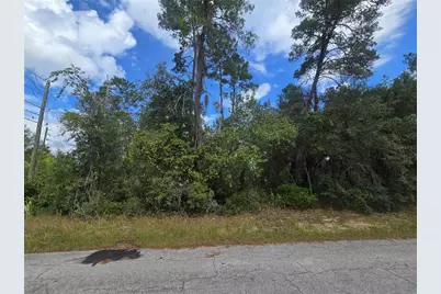 3008 Clearwood Street, Inverness, FL 34452 - Photo 2