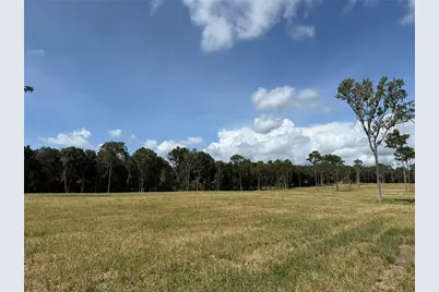 Dr #5 (24Ac) NW 193rd St, Micanopy, FL 32667 - Photo 6