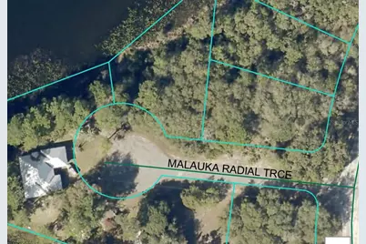 0 Malauka Radial Track #38, Ocklawaha, FL 32179 - Photo 4