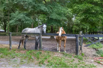 6490 NE 167th Avenue, Williston, FL 32696 - Photo 16