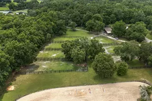 6490 NE 167th Ave, Williston, FL 32696 - Photo 26