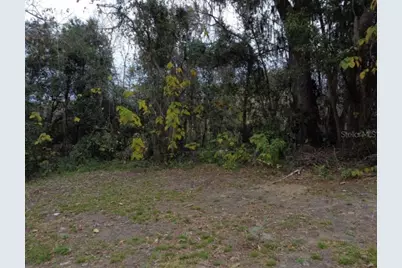 0 NW 45 Street, Ocala, FL 34482 - Photo 2
