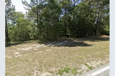 7868 N Elkcam Blvd, Citrus Springs, FL 34433 - Photo 2