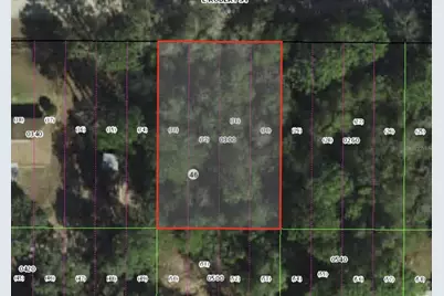 3046 E Robert St, Inverness, FL 34453 - Photo 1