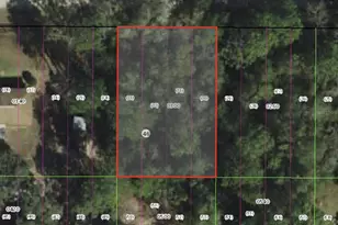 3046 E Robert St, Inverness, FL 34453 - Photo 1