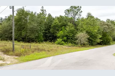 00 SW 204 Th Court, Dunnellon, FL 34431 - Photo 8