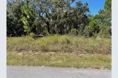 Lot 2 SW Winding Hills Road, Dunnellon, FL 34431 - Photo 2