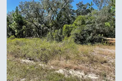 Lot 2 SW Winding Hills Road, Dunnellon, FL 34431 - Photo 1