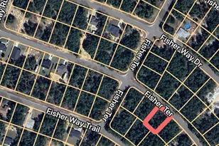 Fisher Terrace, Ocklawaha, FL 32179 - Photo 1