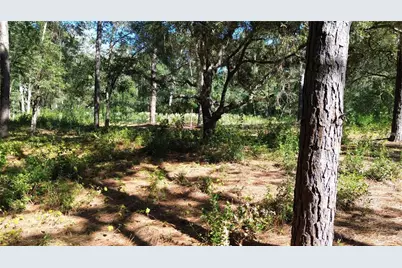 12313 N Elf Point, Dunnellon, FL 34433 - Photo 6