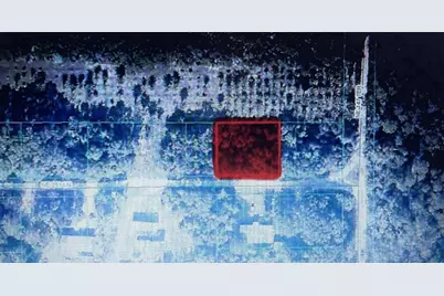 14749 NE 213th Lane, Fort Mc Coy, FL 32134 - Photo 1