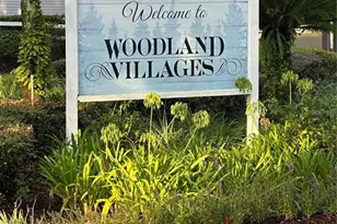 2442 SE 18th Cir, Ocala, FL 34471 - Photo 30