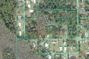 Lot 16 NE 41, Silver Springs, FL 34488 - Photo 1