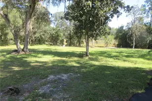 4051 N Hwy 314 A, Silver Springs, FL 34488 - Photo 4