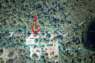 15443 NE 86th Ln, Silver Springs, FL 34488 - Photo 2