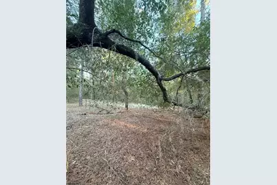 000 Keuka Road, Interlachen, FL 32148 - Photo 12