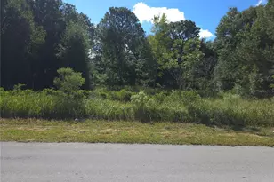 58 Juniper Pass, Ocala, FL 34480 - Photo 1