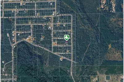 Lot 8 Baker Street, Interlachen, FL 32148 - Photo 4