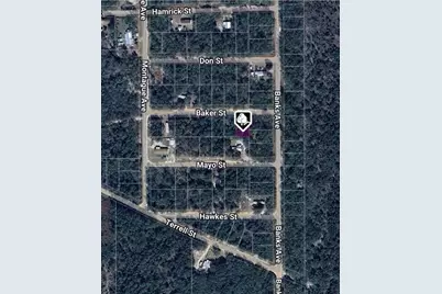 Lot 8 Baker Street, Interlachen, FL 32148 - Photo 2