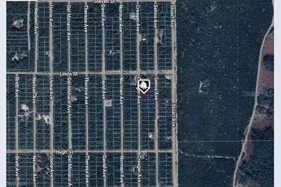 Lot 5 Creager Avenue, Interlachen, FL 32148 - Photo 4