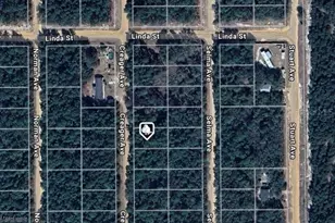 Lot 5 Creager Ave, Interlachen, FL 32148 - Photo 1