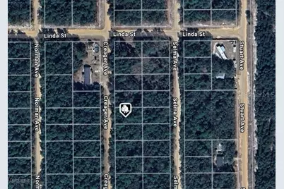 Lot 5 Creager Avenue, Interlachen, FL 32148 - Photo 2