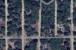 Lot 3 Janet Ave, Interlachen, FL 32148 - Photo 1