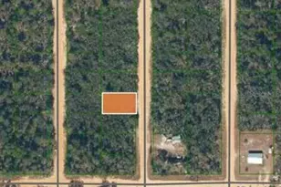 Lot 22 Neilsen Ave, Interlachen, FL 32148 - Photo 1