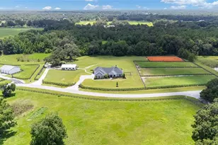 11098 NW 50th Ln, Ocala, FL 34482 - Photo 74