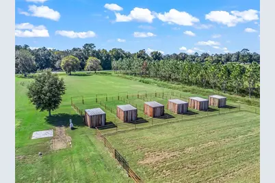 9209 W Highway 316, Reddick, FL 32686 - Photo 64
