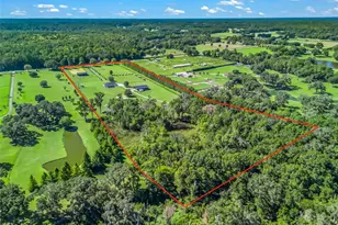 9209 W Hwy 316, Reddick, FL 32686 - Photo 74