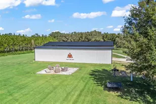 9209 W Hwy 316, Reddick, FL 32686 - Photo 58