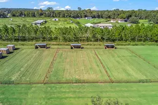 9209 W Hwy 316, Reddick, FL 32686 - Photo 62