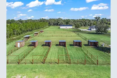 9209 W Highway 316, Reddick, FL 32686 - Photo 60