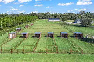 9209 W Hwy 316, Reddick, FL 32686 - Photo 60