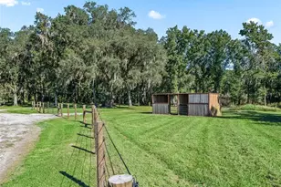 9209 W Hwy 316, Reddick, FL 32686 - Photo 64